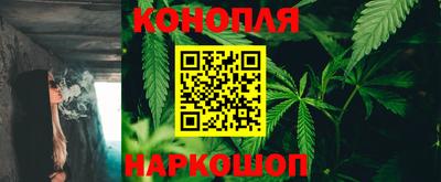 a pvp Можга