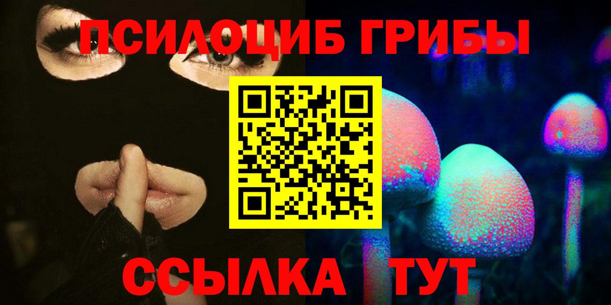 Псилоцибиновые грибы мицелий Тайшет