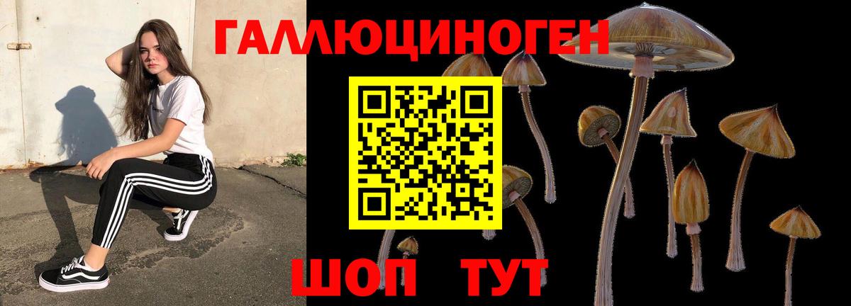Тайшет  Галлюциногенные грибы Cubensis  Вход с VPN 